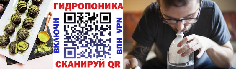 mega онион  Полевской  Cannafood конопля 