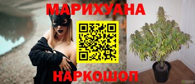 крисы Нарткала