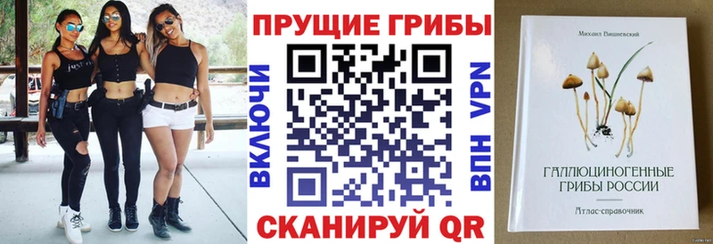 как найти закладки  Полевской  blacksprut онион  Галлюциногенные грибы мицелий 