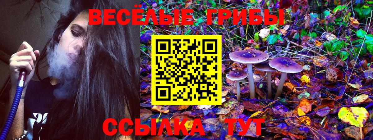 МЕФ кристаллы  Марихуана  Героин  Экстази  Метамфетамин  Полевской  Alpha PVP СК   ГАШИШ  Вход с VPN  ГАШ 