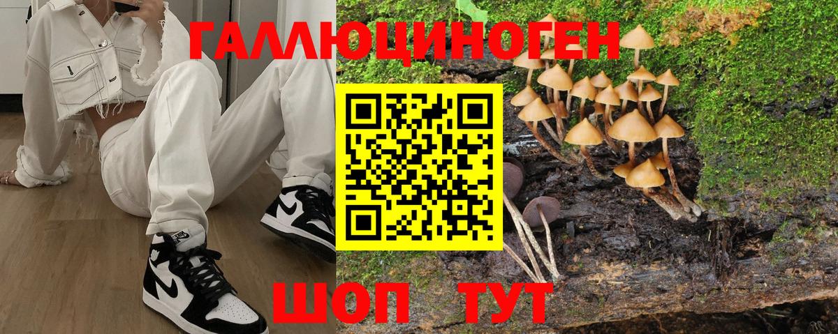 Полевской  Галлюциногенные грибы Cubensis  как найти закладки  Псилоцибиновые грибы мухоморы  Вход с VPN 