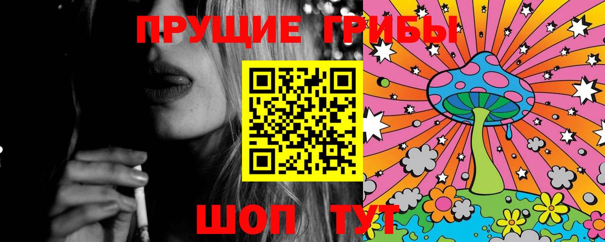Галлюциногенные грибы Psilocybe Полевской